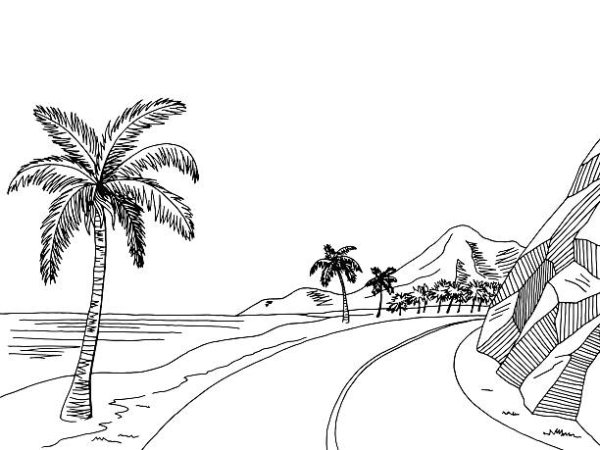 Дорога с пальмами черно белый