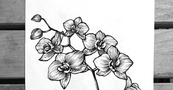 Орхидея тату Графика