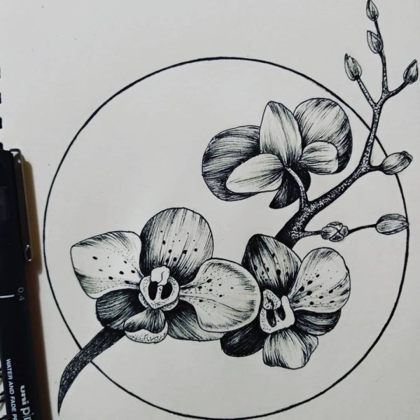 Тату Орхидея эскизы