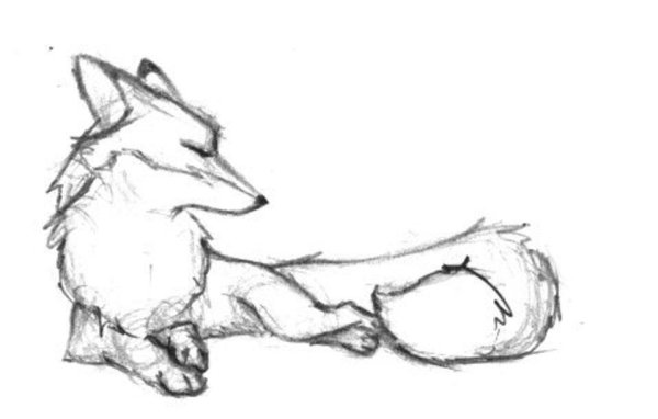 Лиса набросок легкий