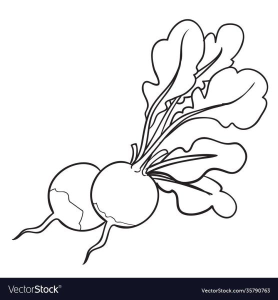 Репка раскраска для детей