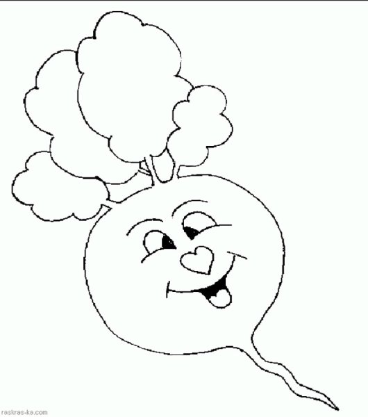 Свекла карандашом