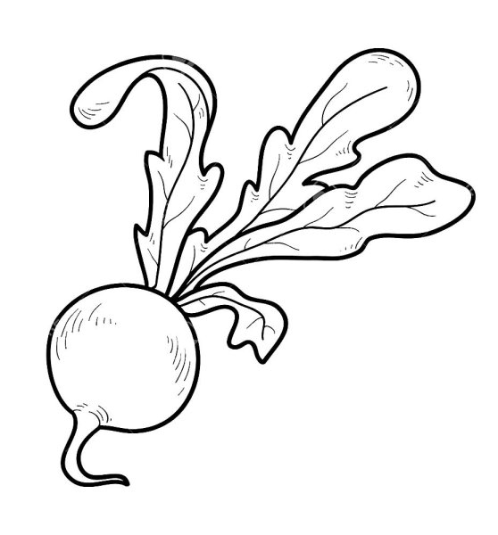 Репка раскраска для детей