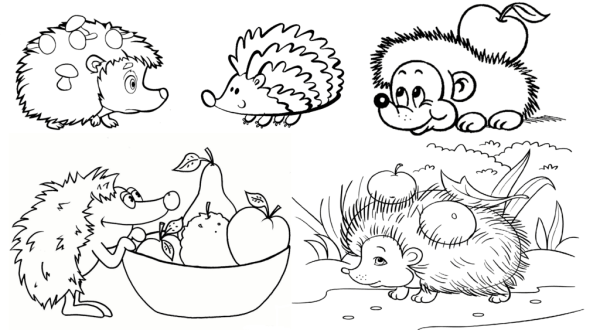 Ёжик раскраска для детей