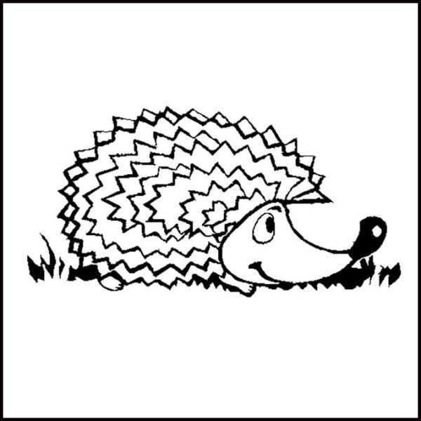 Картинка Ёжика для детей раскраска