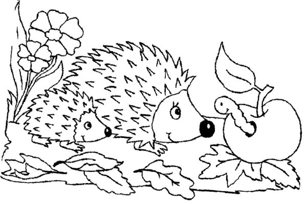 Еж раскраска