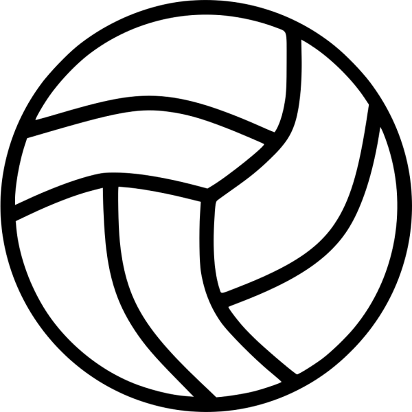 Волейбольный мяч