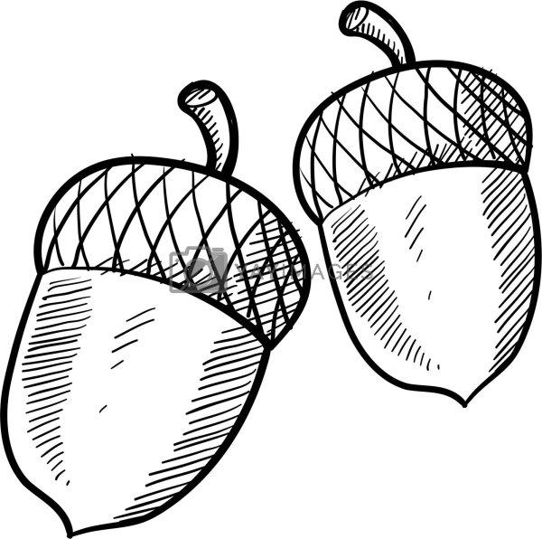 Желудь трафарет для вырезания