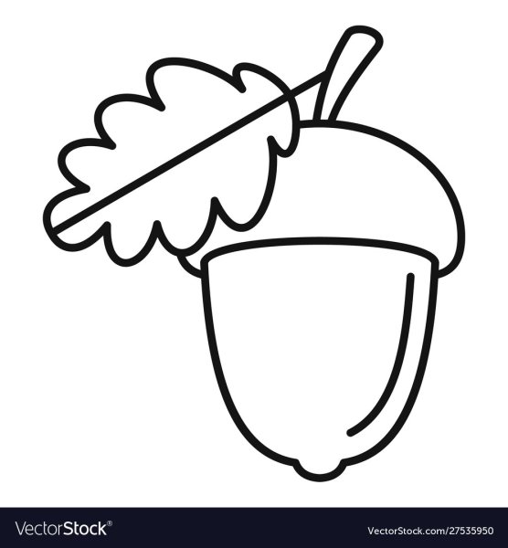 Желудь вектор контур