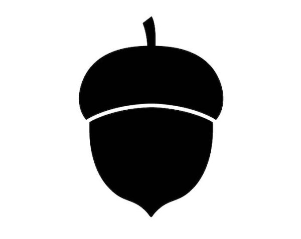 Желудь рисунок черно белый маленький