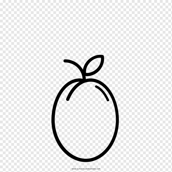 Слива раскраска