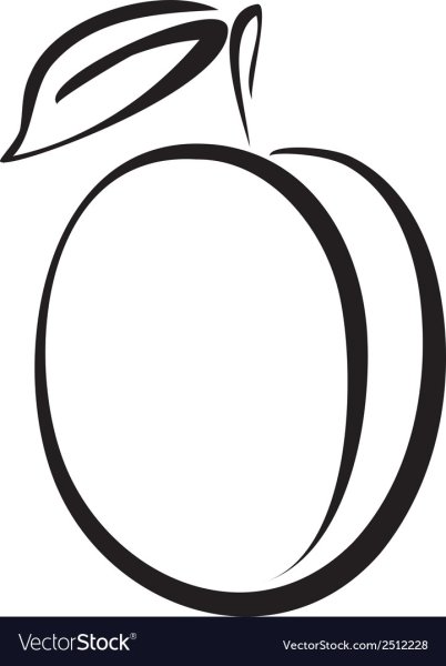 Раскраска сливы на ветке