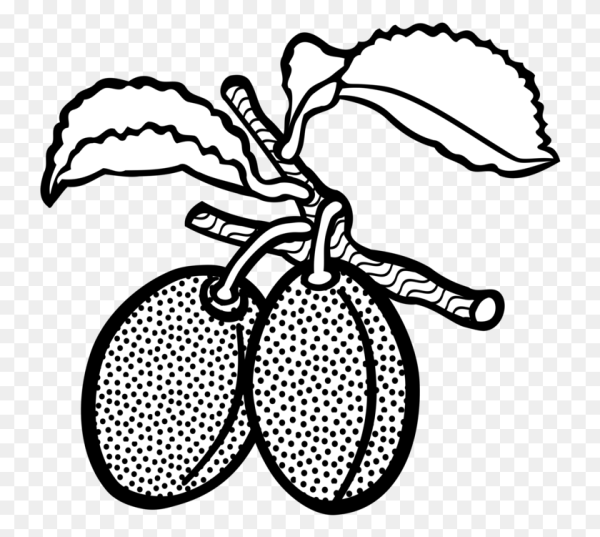 Слива раскраска для детей