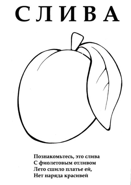 Слива раскраска для малышей