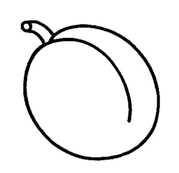 Слива контурный рисунок