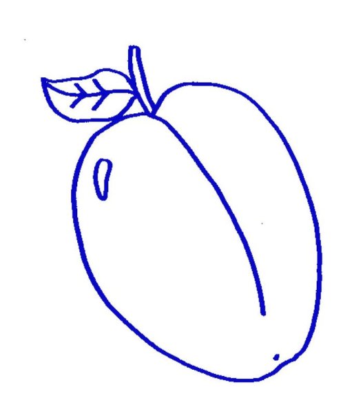 Слива раскраска