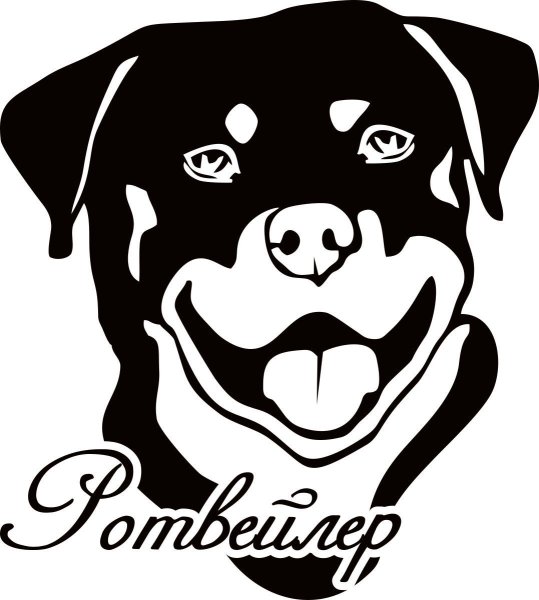 Наклейка ротвейлер на авто