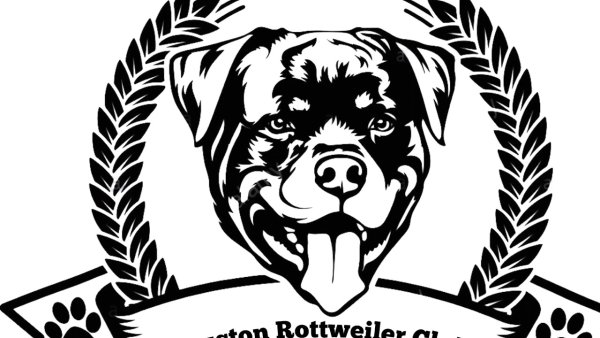 Ротвейлер рисунок эскиз для выжигания
