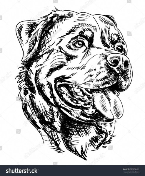 Ротвейлер для выжигания