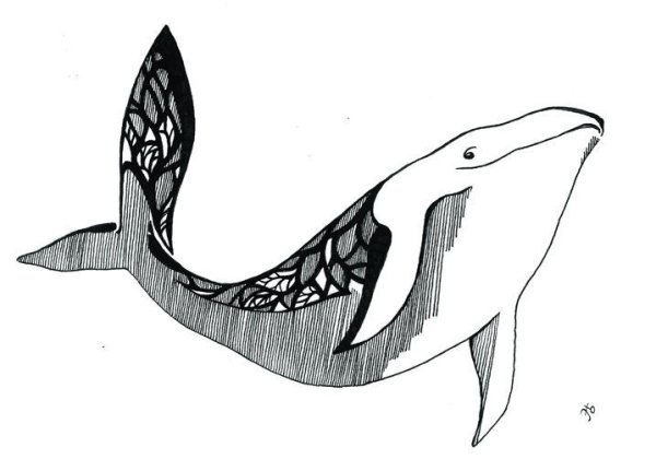 Хвост кита Графика