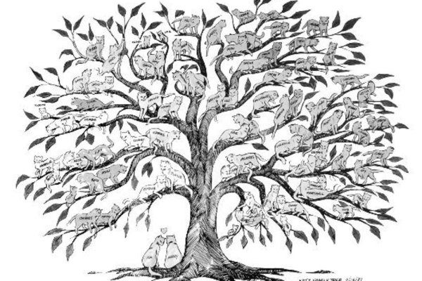 Дерево для родословной черно белое