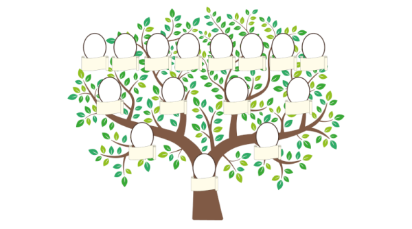 Генеалогическое Древо шаблон