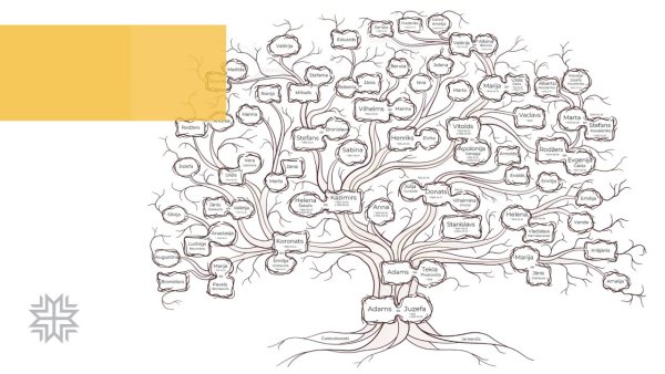 Родословная Байрамуковых фамильное Древо