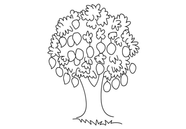 Генеалогическое дерево раскраска