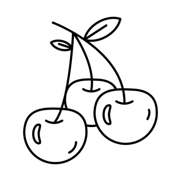 Вишня Графика