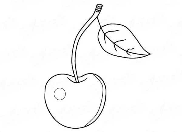 Вишня черно белая