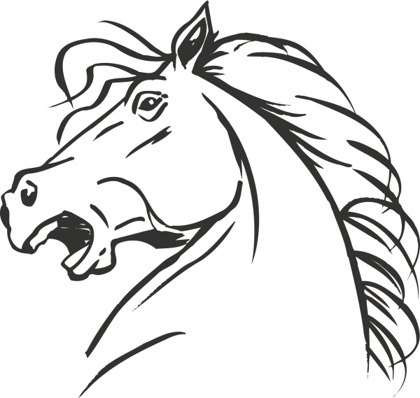 Раскраска. Лошади