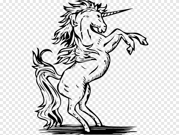 Единорожек чёрно белый