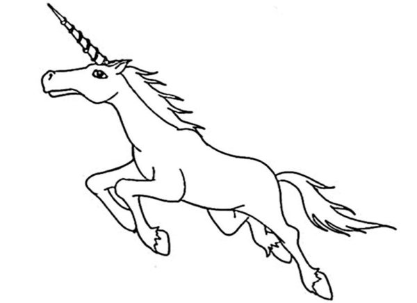 Единорожка черно белый