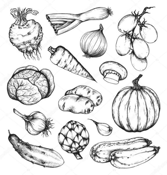 Овощи рисунок