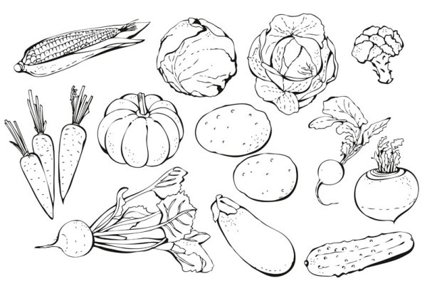 Раскраска веселый огород