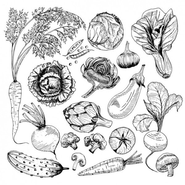 Овощи раскраска для детей