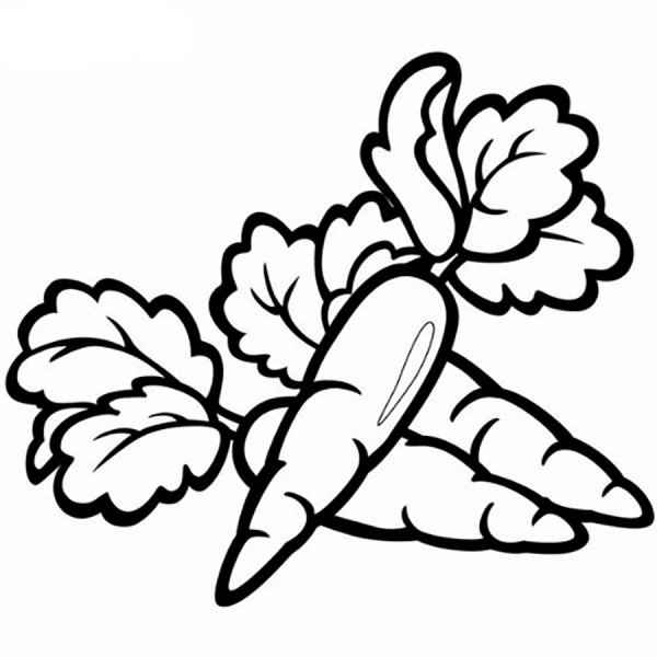 Раскрась только овощи