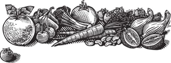 Овощи раскраска для детей