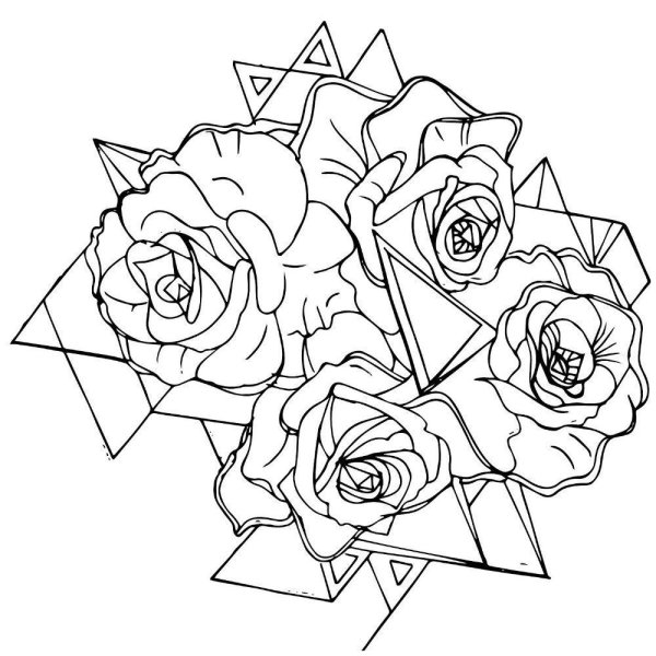 Роза геометрический эскиз