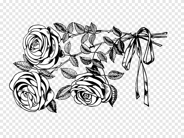 Красивые цветы черно белые