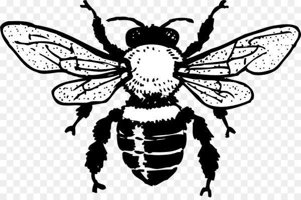 Пчела черно белая