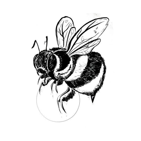 Пчела набросок