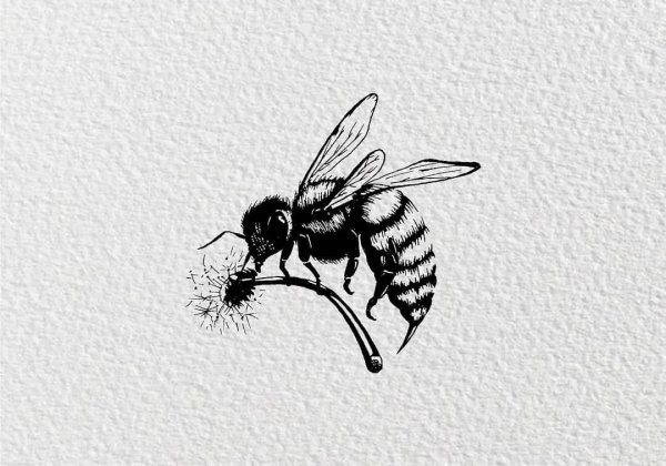 Пчела тату графикой