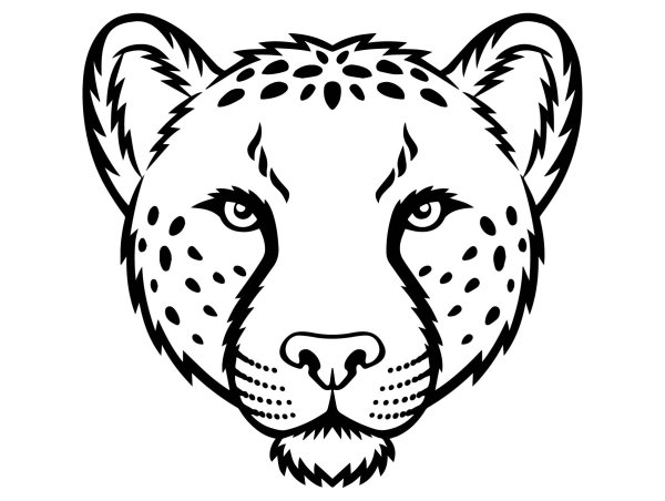 Морда гепарда черно-белая