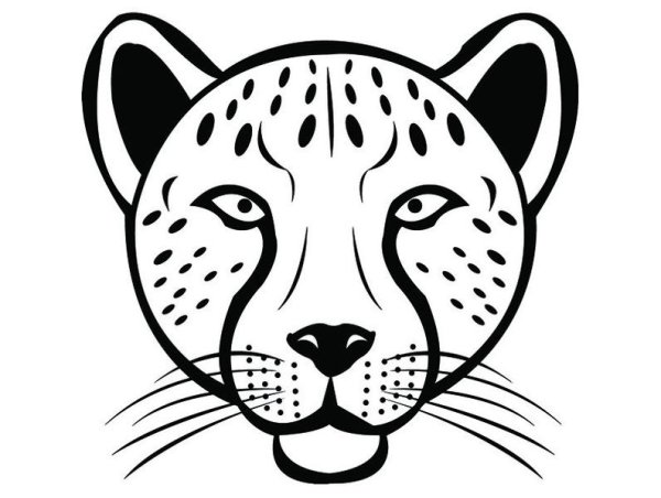 Раскраска гепард морда