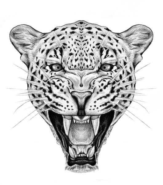 Тату голова леопарда