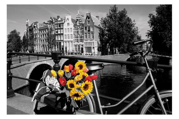 Одинокий цветок