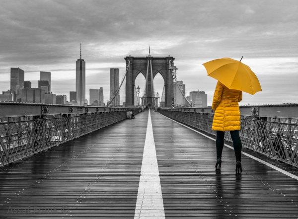 Черно-белые с красным акцентом