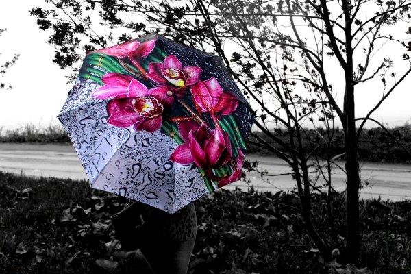 Алмазная мозаика у моста Риальто