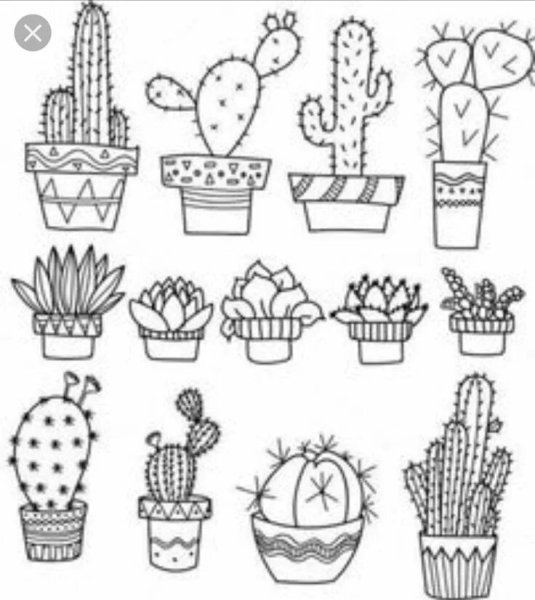 Раскраски кактусы милые